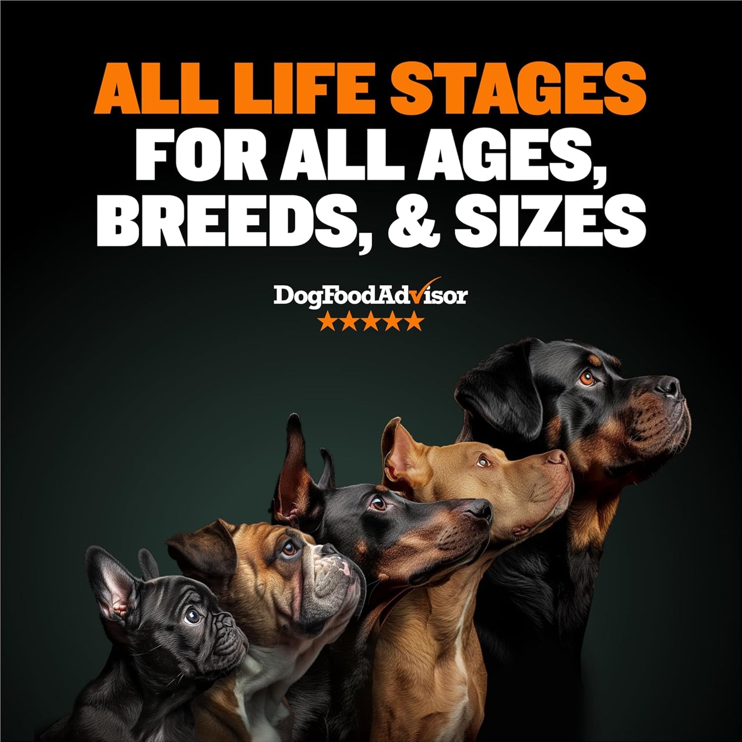 High Performance Premium Dry Dog Food 15 Lbs. & 1 Bag Freeze-Dried Raw Dog Food Chicken Toppers Bundle - Ultimate Muscle Gain Canine Nutrition for Small & Large Breed Puppies & Adult Dogs