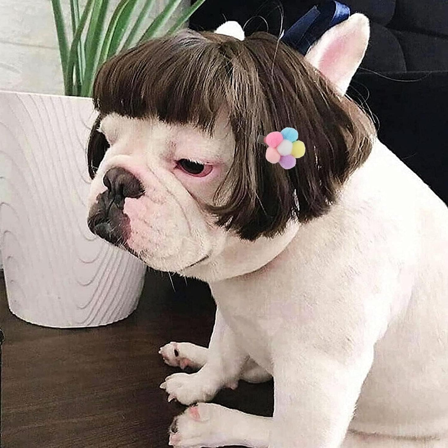 Funny Dog Wig for Small Medium Large Dogs with Free Head Flower, Trimmable Pet C