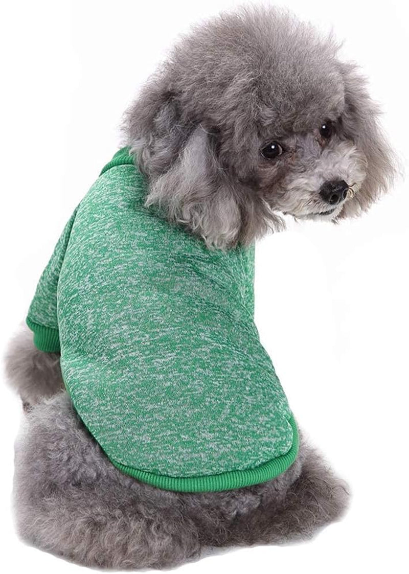 Pet Dog Classic Knitwear Sweater Warm Winter Puppy Pet Coat Soft Sweater Clothing for Small Dogs (M, Green)