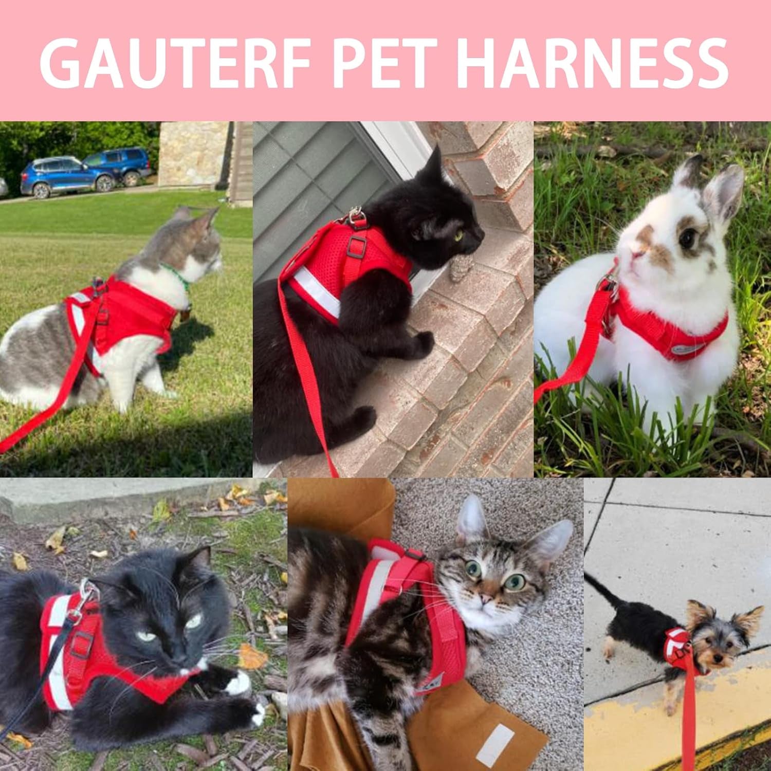Puppy Harness with Leashes Set, Escape Proof Cat Harness, Adjustable Reflective Soft Mesh Vest Fit Puppy Kitten Rabbit'S Outdoor Dog Harness (Red, XL, Chest: 18" - 20")