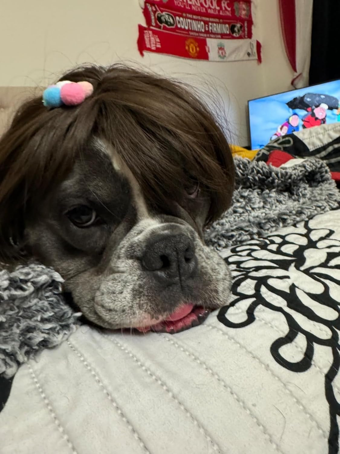 Funny Dog Wig for Small Medium Large Dogs with Free Head Flower, Trimmable Pet C