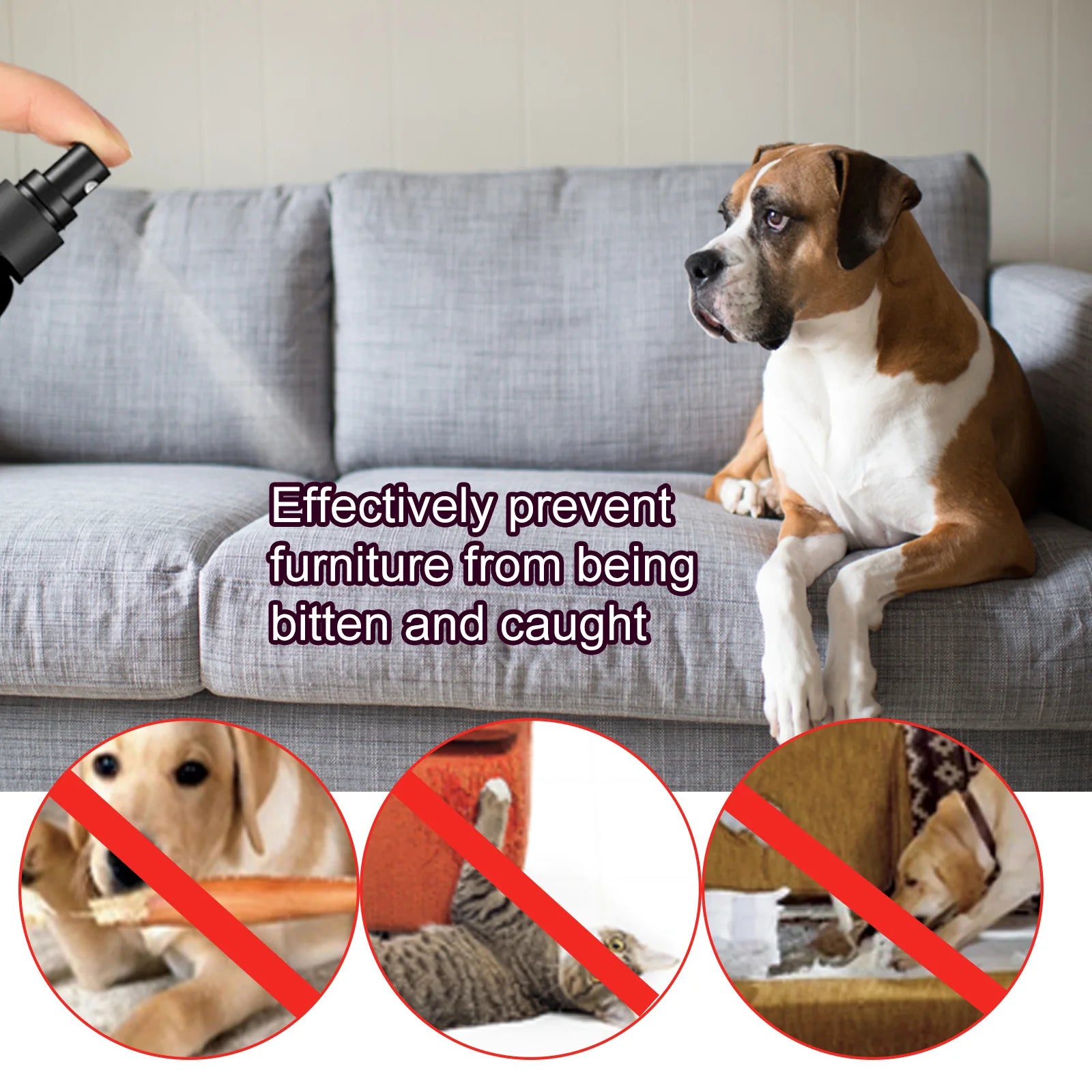 Pet No Chew Spray Bitterness anti Gnawing Biting Stop Cat Scratching Furniture Behavior Modification Dog Chew Prevention Liquid