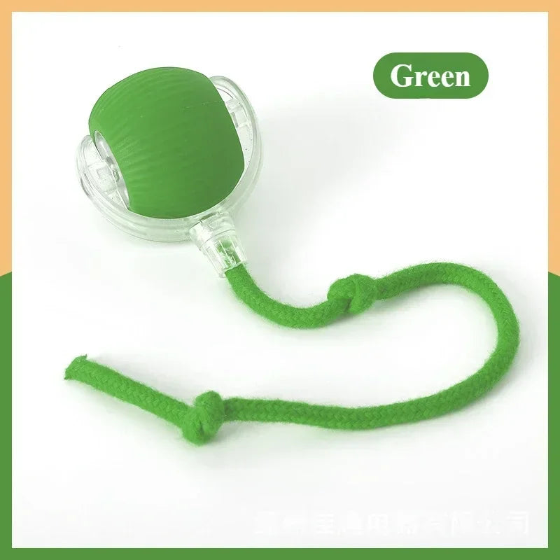 Automatic Rolling False Tail Ball Dog Accessories Cat Supplies Rechargeable Smart Pet Electric Toys Cat and Dog Items Home Cats