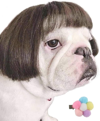 Funny Dog Wig for Small Medium Large Dogs with Free Head Flower, Trimmable Pet C