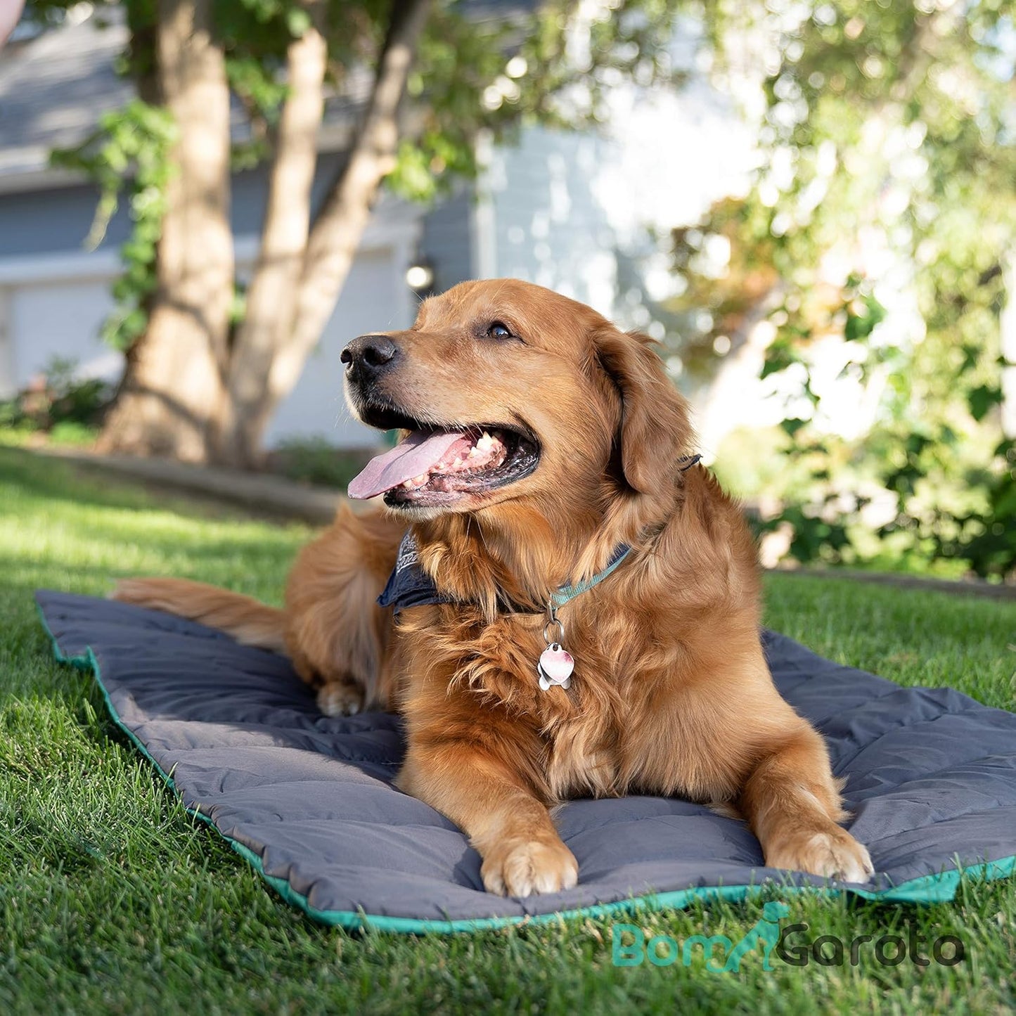 Portable Pet Mat - 46.5 X 33 Inch Cat and Dog Mat for Crate Bed, Dog Cage, Fireside or Camping! Waterproof Dog Beds for Medium Dogs and Small Dogs. Large Dog Bed with Storage Carry Bag