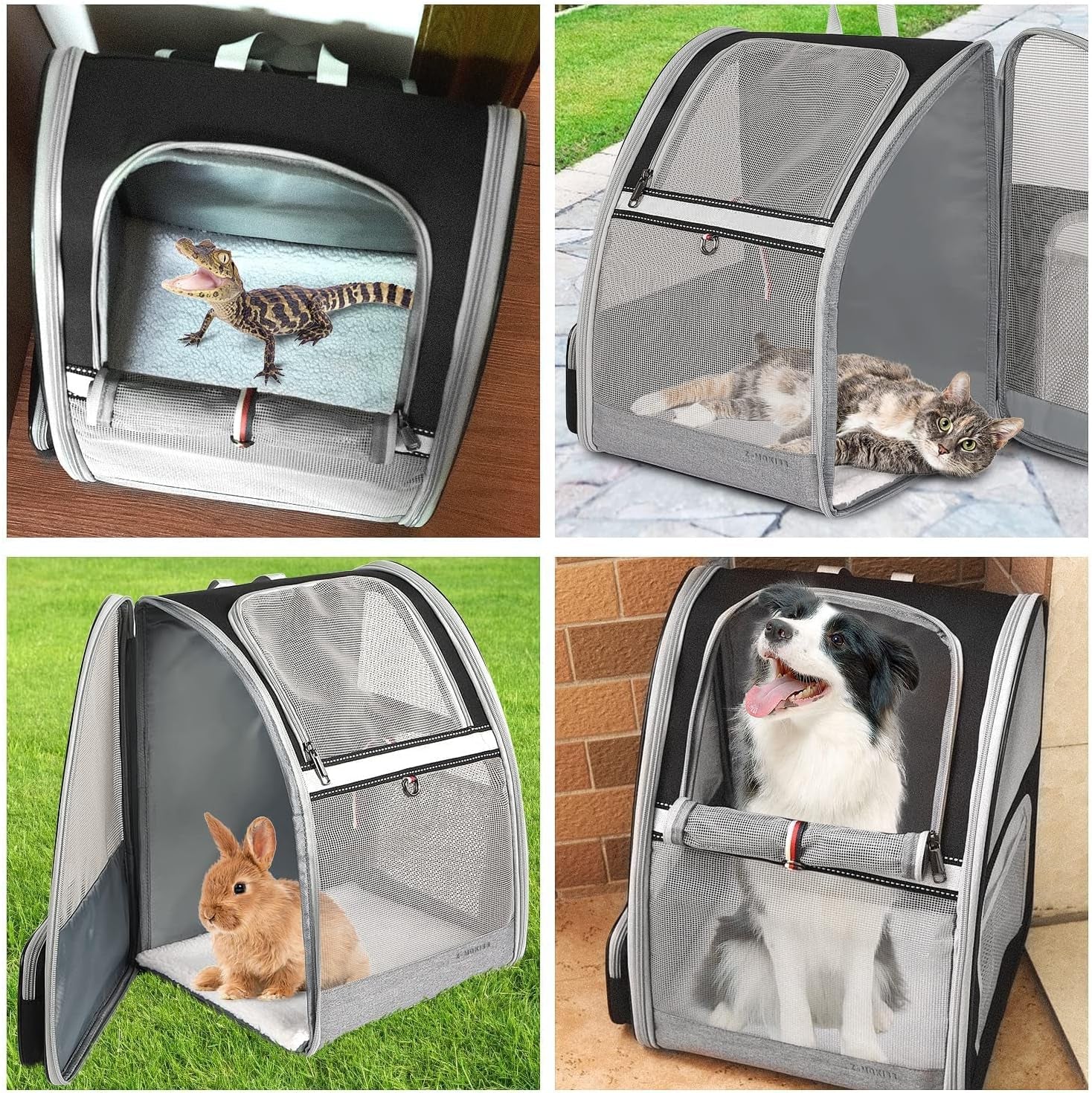 Cat Backpack, Pet Carrier Backpack for Medium Small Cats Dogs, Airline Approved Collapsible Ventilated Safety Strap Buckle Support Design,  Pet Backpack for Travel, Hiking, Walking Outdoor