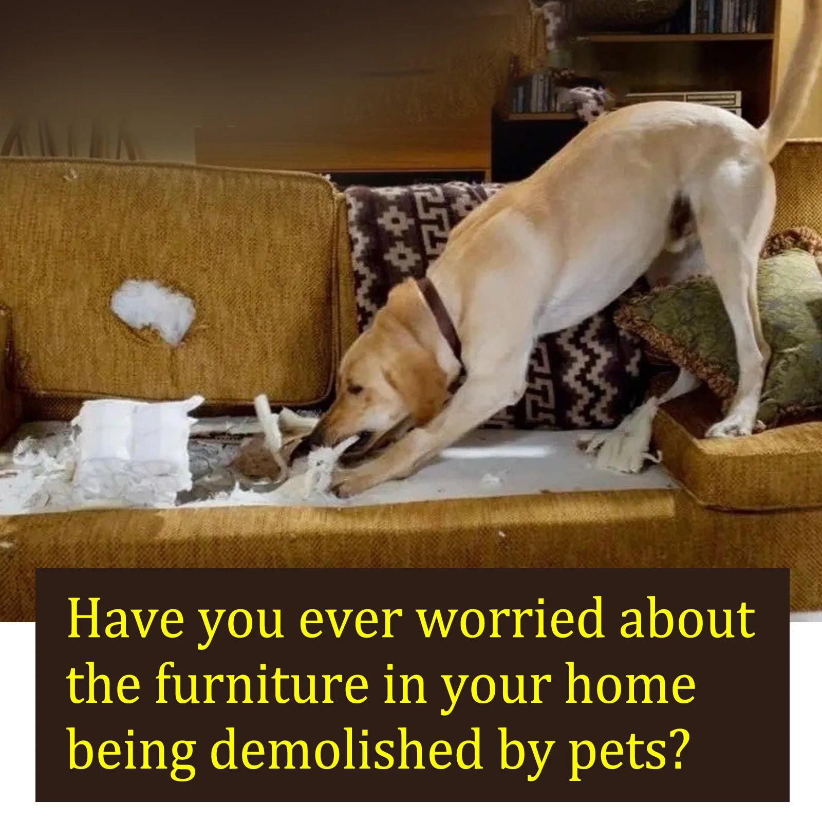 Pet No Chew Spray Bitterness anti Gnawing Biting Stop Cat Scratching Furniture Behavior Modification Dog Chew Prevention Liquid