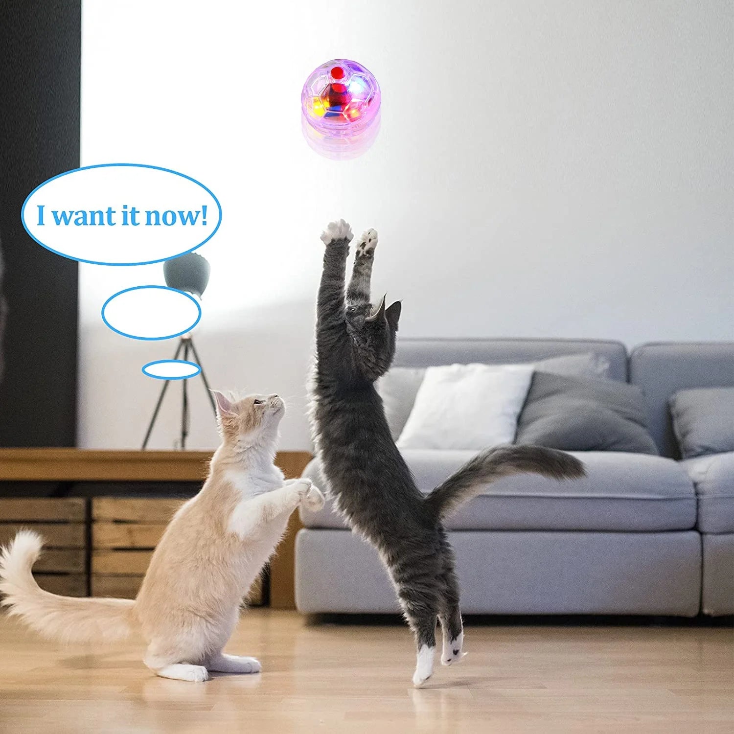 4Pcs Motion Light up Ghost Hunting Cat Ball for Cats Motion Activated Cat Ball with LED Light Pet Interactive Toy Animal Activity Toy