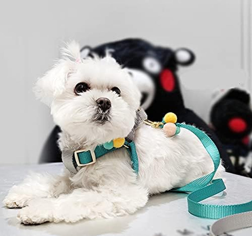 Puppy Cat Step-In Harness and Leash Set Escape Proof, Pink Blue and Yellow with Cute Furry Ball, No Pull Halter Adjustable for Little Dog Puppy Cat Rabbit,Baby Blue XS