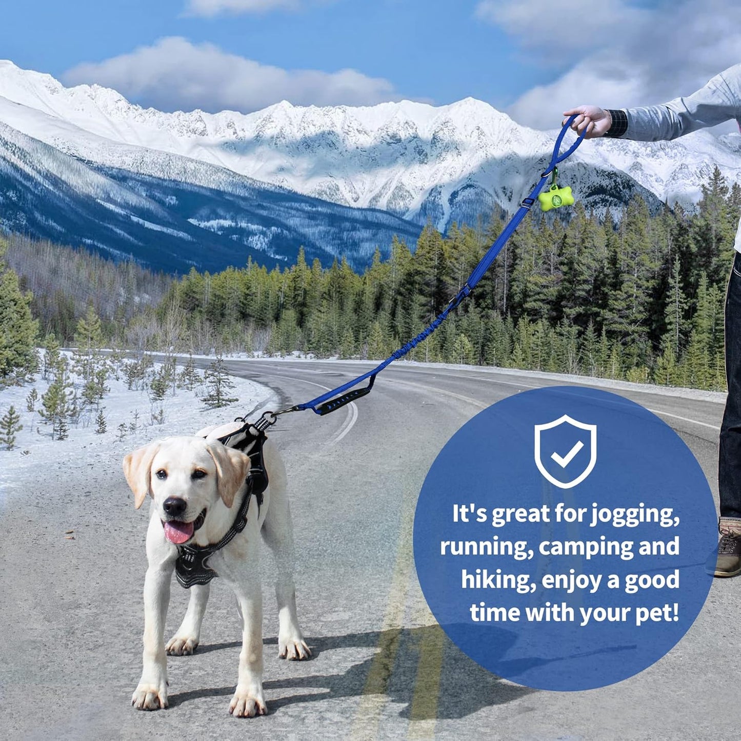 Multifunctional Dog Leash for Large & Medium Dogs, Adjustable with Car Seatbelt, 4-6 FT Strong Bungee (Blue)
