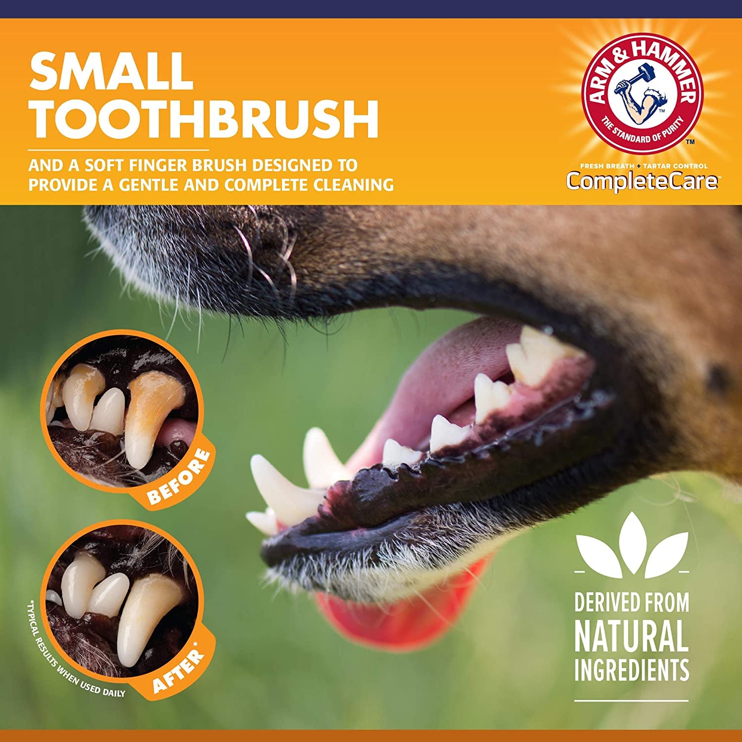 Includes 2.5 Oz Dog Toothpaste in Peanut Butter Flavor, Small Dog Toothbrush