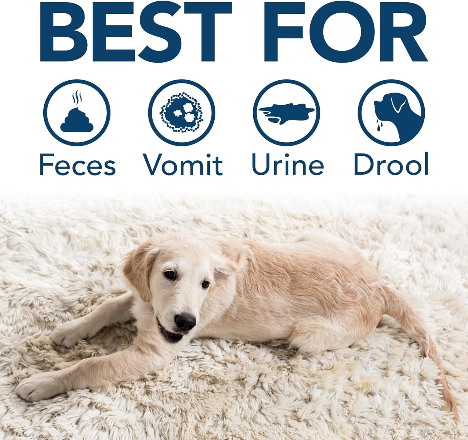 Extreme Pet Stain and Odor Eliminator Spray for Dogs and Cats, Enzymatic Cleaner with 3X Pro-Bacteria Cleaning Power, Strong Urine Pee & Poop Stain Remover, Spring Breeze, 1 Gal