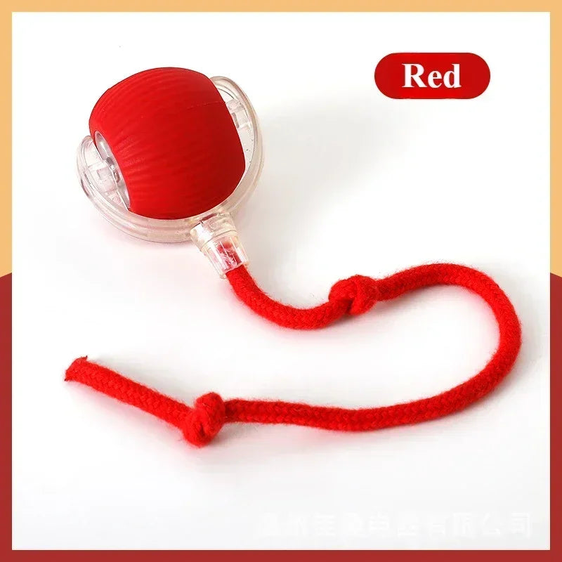Automatic Rolling False Tail Ball Dog Accessories Cat Supplies Rechargeable Smart Pet Electric Toys Cat and Dog Items Home Cats