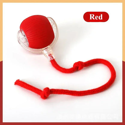 Automatic Rolling False Tail Ball Dog Accessories Cat Supplies Rechargeable Smart Pet Electric Toys Cat and Dog Items Home Cats