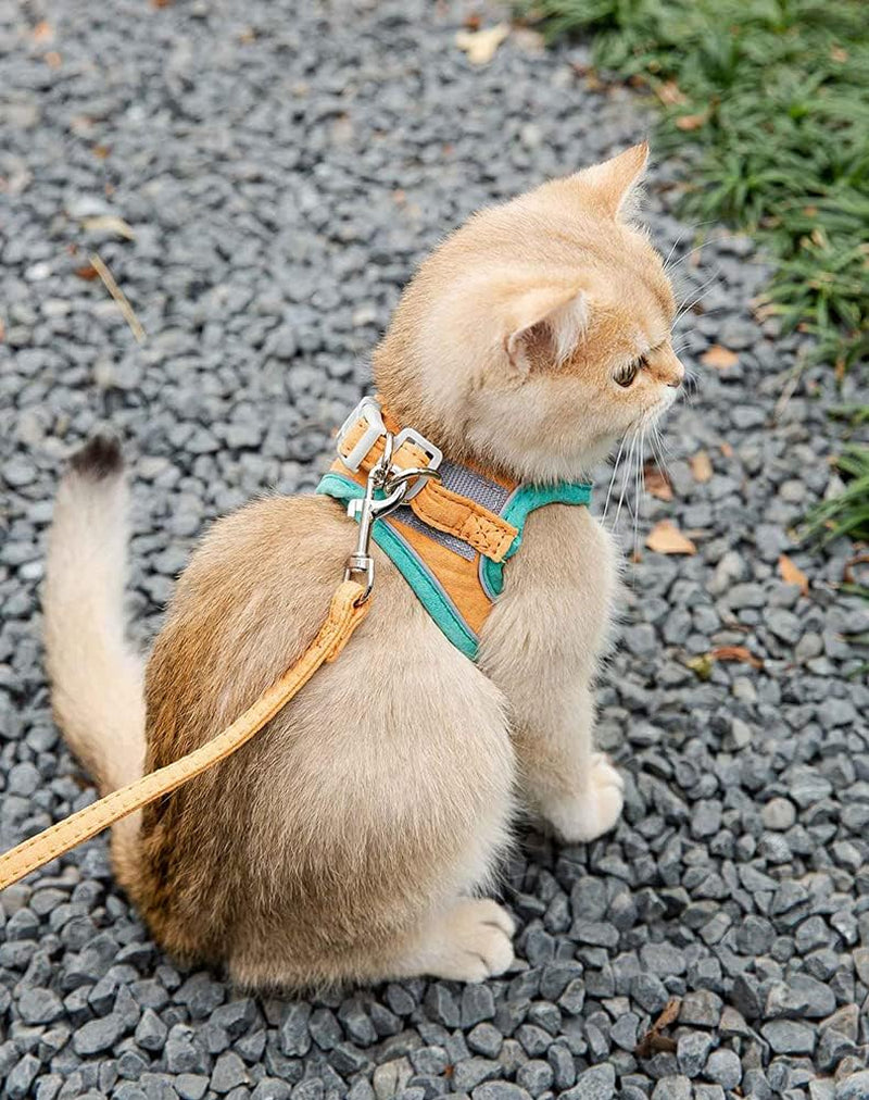 Cat Harness and Leash Set for Walking Escape Proof, Adjustable Kittens Vest with Reflective Strip for Cats Small Dogs Puppies, Soft and Comfortable Cat Outdoor Vest Jacket (Green, M)