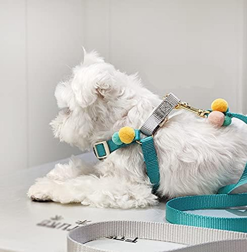 Puppy Cat Step-In Harness and Leash Set Escape Proof, Pink Blue and Yellow with Cute Furry Ball, No Pull Halter Adjustable for Little Dog Puppy Cat Rabbit,Baby Blue XS