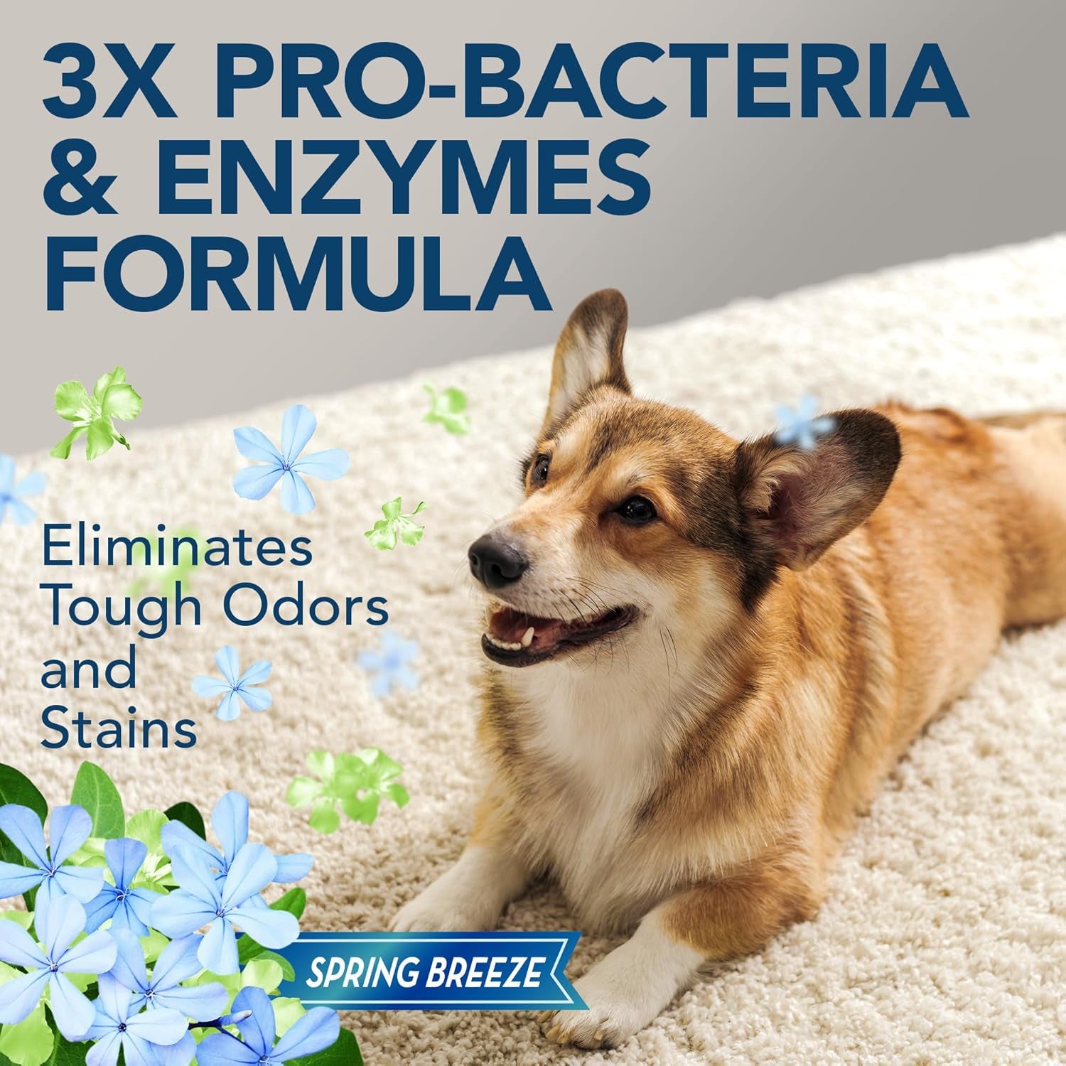 Extreme Pet Stain and Odor Eliminator Spray for Dogs and Cats, Enzymatic Cleaner with 3X Pro-Bacteria Cleaning Power, Strong Urine Pee & Poop Stain Remover, Spring Breeze, 1 Gal