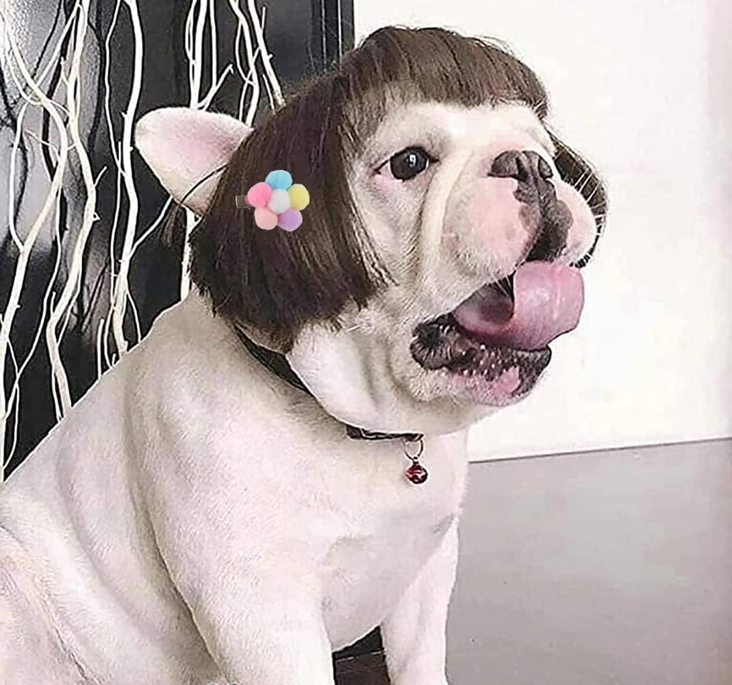 Funny Dog Wig for Small Medium Large Dogs with Free Head Flower, Trimmable Pet C