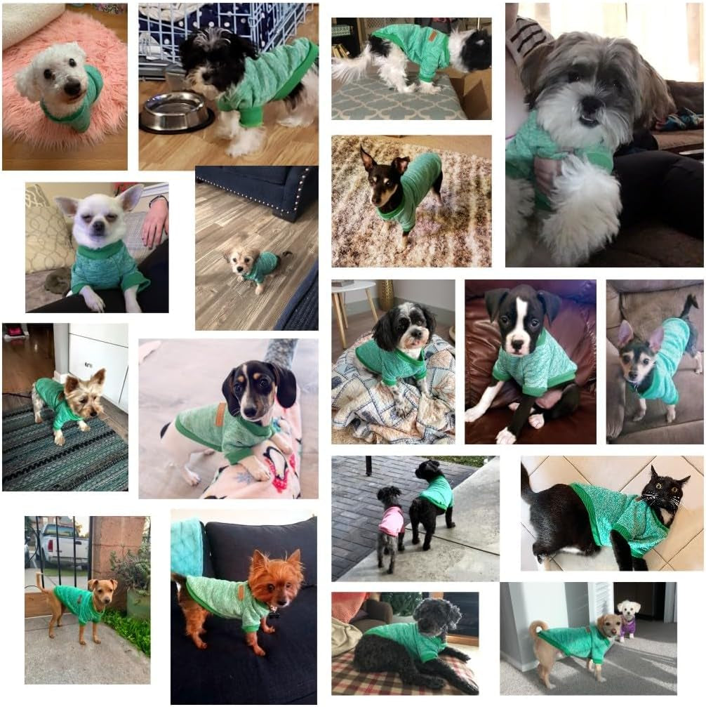 Pet Dog Classic Knitwear Sweater Warm Winter Puppy Pet Coat Soft Sweater Clothing for Small Dogs (M, Green)