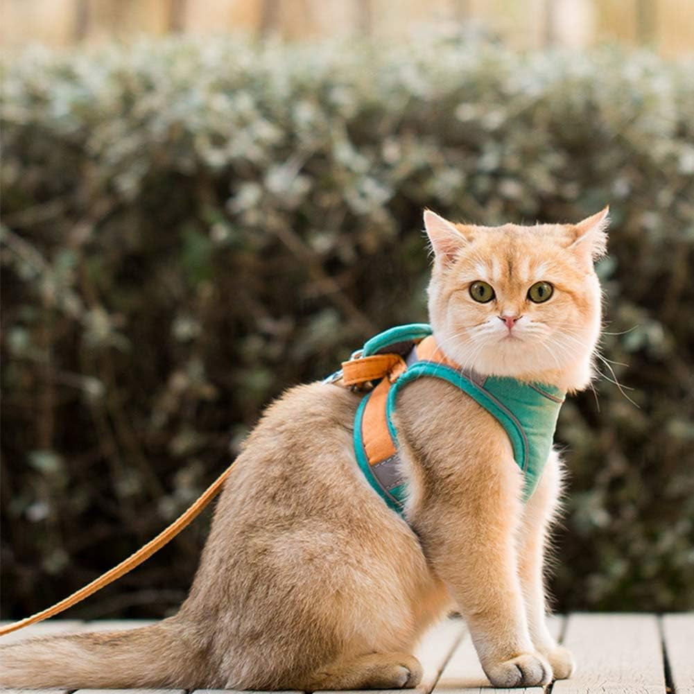 Cat Harness and Leash Set for Walking Escape Proof, Adjustable Kittens Vest with Reflective Strip for Cats Small Dogs Puppies, Soft and Comfortable Cat Outdoor Vest Jacket (Green, M)