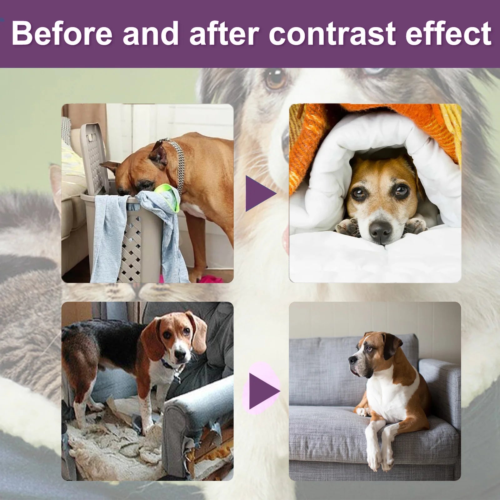 Pet No Chew Spray Bitterness anti Gnawing Biting Stop Cat Scratching Furniture Behavior Modification Dog Chew Prevention Liquid