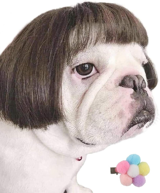 Funny Dog Wig for Small Medium Large Dogs with Free Head Flower, Trimmable Pet C