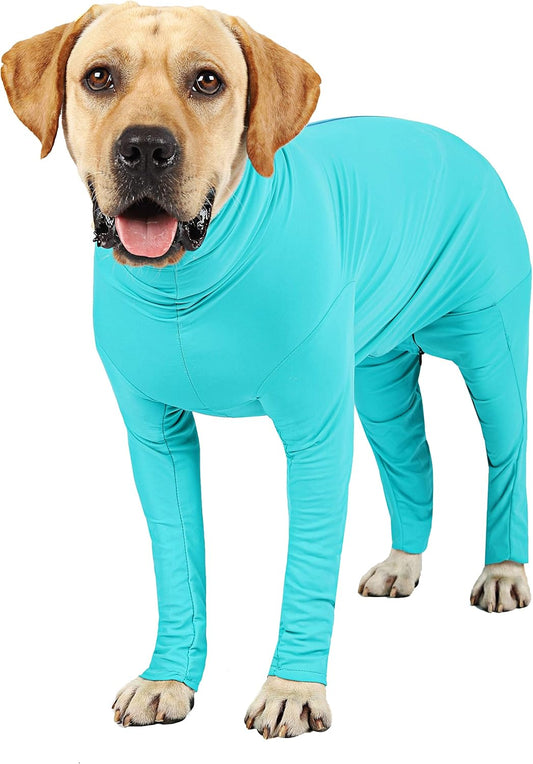 Recovery Onesie for Female & Male Dogs - Anti-Licking Work-Out Suit Post-Surgery, Fresh Blue/X-Small
