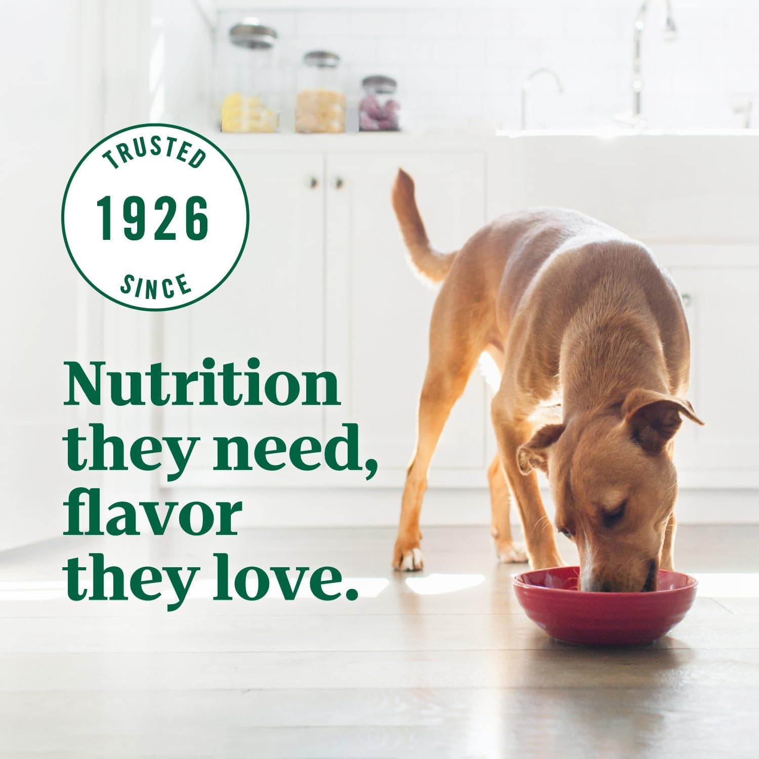 Ultra Adult Dry Dog Food with a Trio of Proteins from Chicken, Lamb and Salmon, 30 Lb Bag