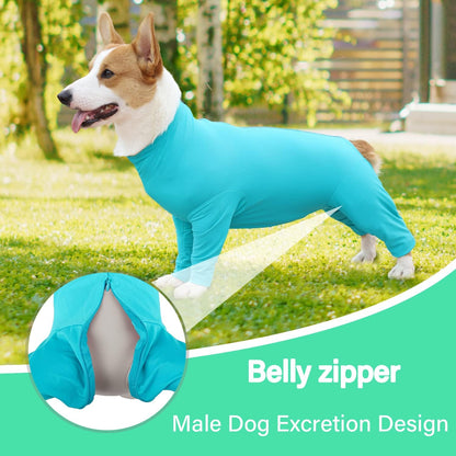 Recovery Onesie for Female & Male Dogs - Anti-Licking Work-Out Suit Post-Surgery, Fresh Blue/X-Small