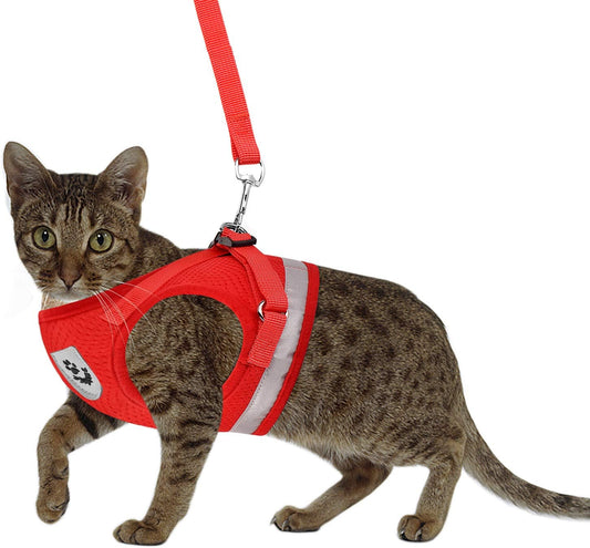 Puppy Harness with Leashes Set, Escape Proof Cat Harness, Adjustable Reflective Soft Mesh Vest Fit Puppy Kitten Rabbit'S Outdoor Dog Harness (Red, XL, Chest: 18" - 20")