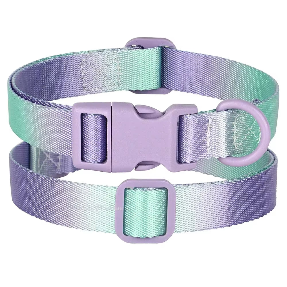 Nylon Dog Collar Adjustable Cat Small Dog Collars Gradient Pet Necklace Fashion Collars Accessories for Small Medium Large Dogs