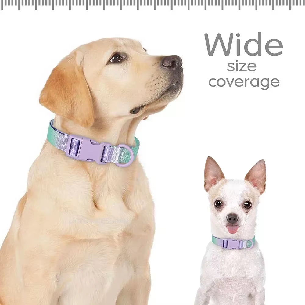 Nylon Dog Collar Adjustable Cat Small Dog Collars Gradient Pet Necklace Fashion Collars Accessories for Small Medium Large Dogs