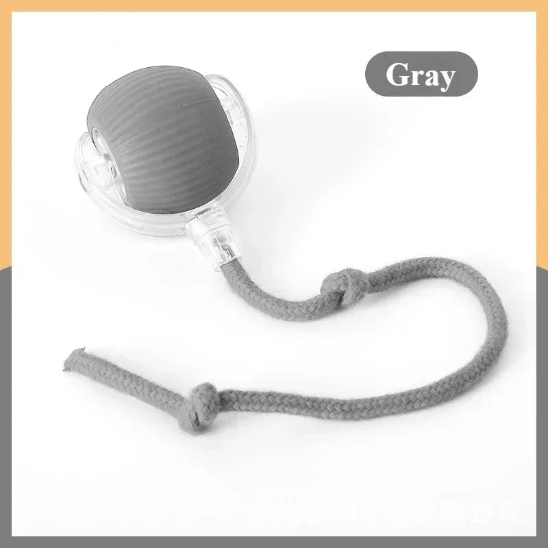 Automatic Rolling False Tail Ball Dog Accessories Cat Supplies Rechargeable Smart Pet Electric Toys Cat and Dog Items Home Cats