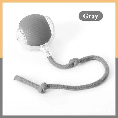 Automatic Rolling False Tail Ball Dog Accessories Cat Supplies Rechargeable Smart Pet Electric Toys Cat and Dog Items Home Cats