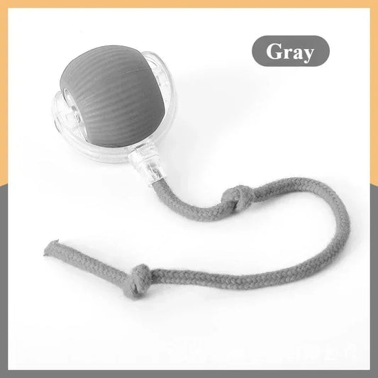Automatic Rolling False Tail Ball Dog Accessories Cat Supplies Rechargeable Smart Pet Electric Toys Cat and Dog Items Home Cats